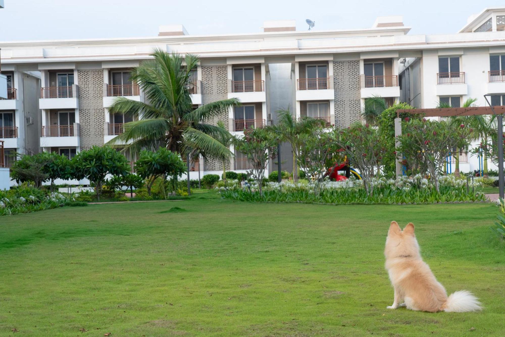 Palm Regal Resort Gopālpur Buitenkant foto