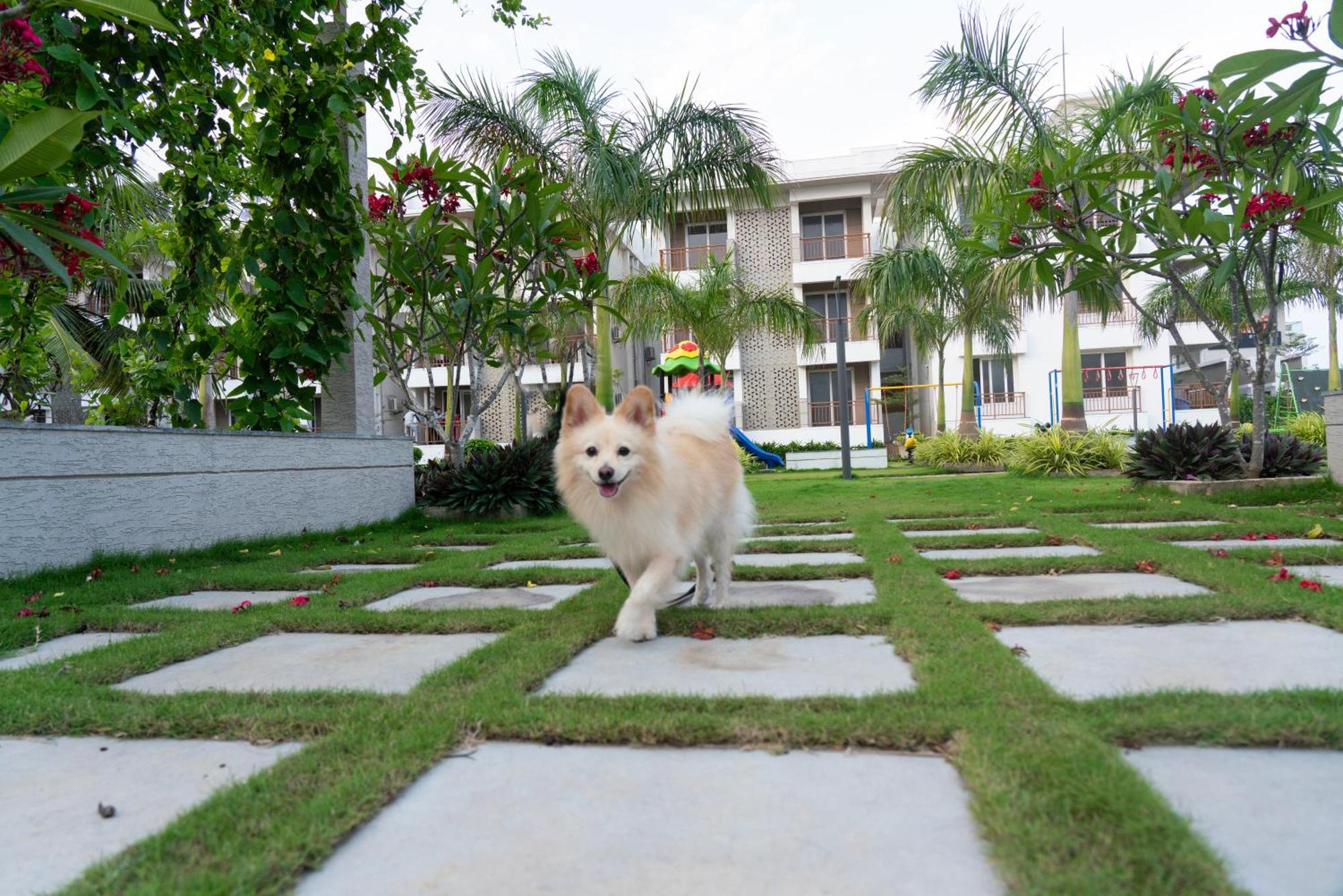 Palm Regal Resort Gopālpur Buitenkant foto