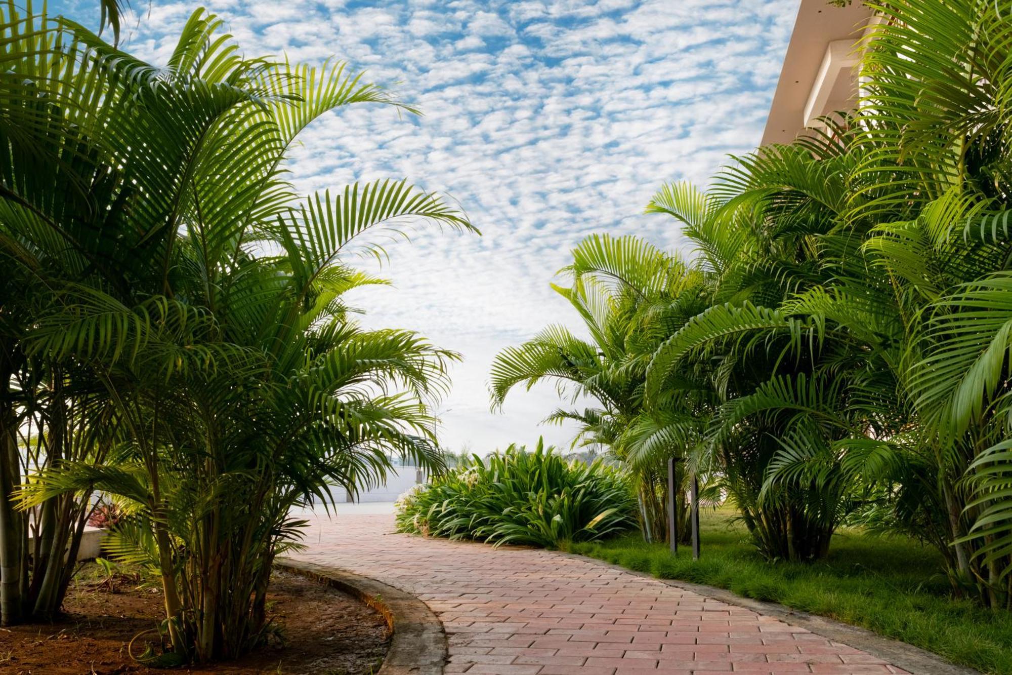 Palm Regal Resort Gopālpur Buitenkant foto